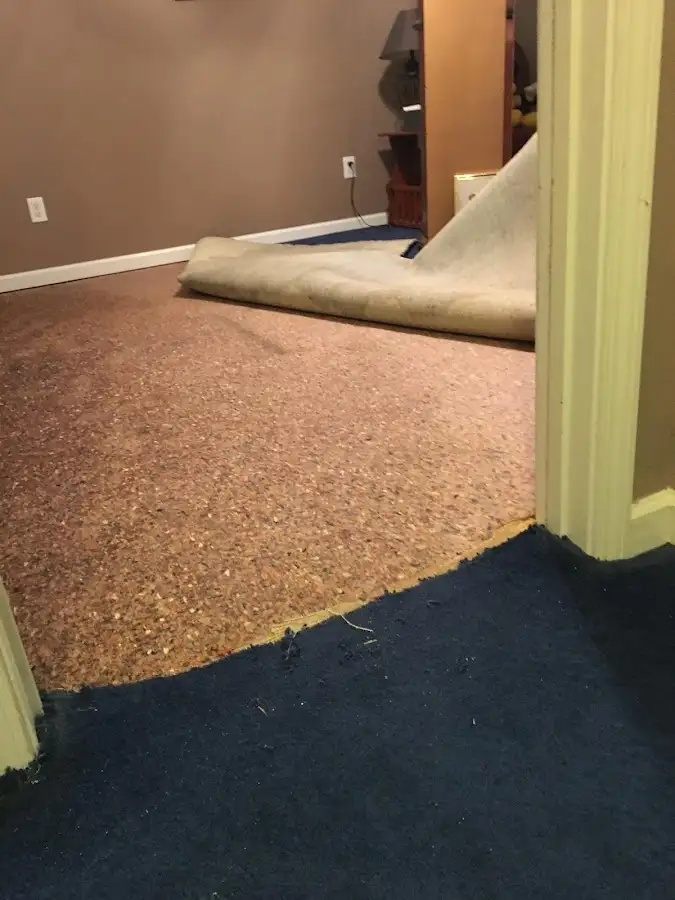 Carpet pad removal revealing water damage during Water Mitigation Services in Oregon