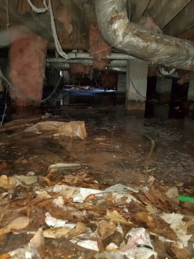 Crawl space flood assessment for Leak Detection & Repair in Oregon